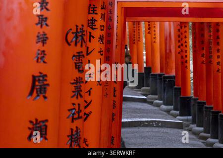 Vue des portes Senbon Torii mille Torii avec calligraphie noire traditionnelle sur des piliers en bois vermillon vibrants le long d'un chemin de pierre à Fushimi Ina Banque D'Images