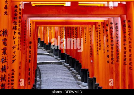 Vue sur les portes Senbon Torii avec des piliers vermillon vibrants et des bases noires bordant un chemin de pierre au sanctuaire Fushimi Inari-taisha à Kyoto, Kyoto, Japa Banque D'Images
