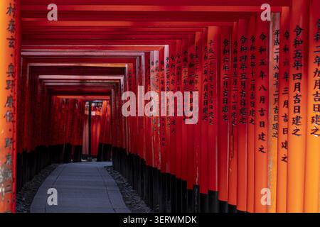 Vue des portes Senbon Torii rouge vif avec des inscriptions noires bordant un chemin de pierre à Fushimi Inari-taisha à Kyoto, Kyoto, Japon. Banque D'Images
