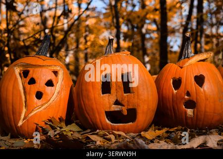 Trois citrouilles sculptées avec différentes expressions faciales se trouvent parmi les feuilles tombées dans une scène de forêt d'automne en plein air avec un feuillage d'automne coloré dans la BA Banque D'Images