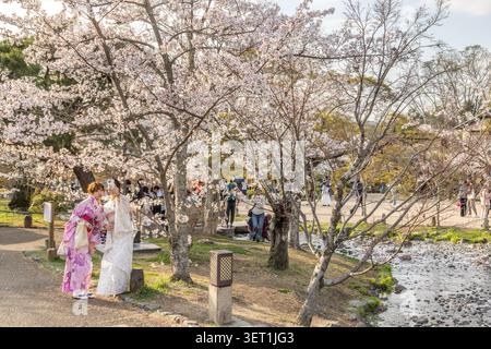 Les visiteurs en kimono profitent des cerisiers en fleurs au bord de l’étang du parc Maruyama à Kyoto, au Japon. Banque D'Images