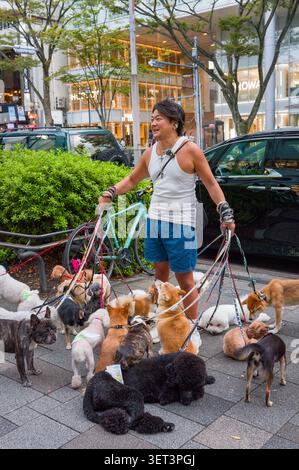 Un promeneur de chiens sourit tout en gérant un grand nombre de races de chiens différentes en laisse le long d'une rue de Tokyo, au Japon. Banque D'Images