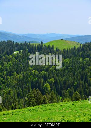 Un paysage matinal de printemps tôt, vu du plateau Bucegi dans les Carpates de Roumanie. Banque D'Images