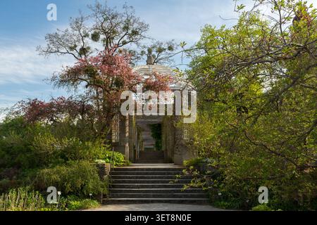 Un escalier en pierre pittoresque menant à travers une passerelle de pergola luxuriante dans le jardin botanique de Munich - Nymphenburg au printemps, entouré de trés fleuris Banque D'Images