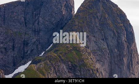 Les pics granitiques imposants des îles Lofoten présentent des falaises verticales spectaculaires couvertes de mousse et de morceaux de neige, créant un paysage nordique brutal Banque D'Images