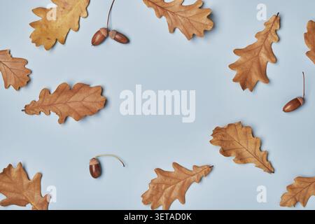 Feuilles de chêne d'automne et glands sur fond bleu, espace de copie Banque D'Images