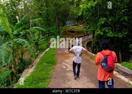 Deux hommes se tiennent debout sur une route rurale sinueuse, observant les autres marcher devant ; des plantes tropicales verdoyantes et des arbres bordent le chemin de terre, créant un sce vibrant Banque D'Images