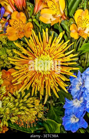 Gros plan vibrant de fleurs d'été anglais, avec chrysanthème d'araignée dorée, alstroemeria orange et delphiniums bleus en pleine floraison. Banque D'Images