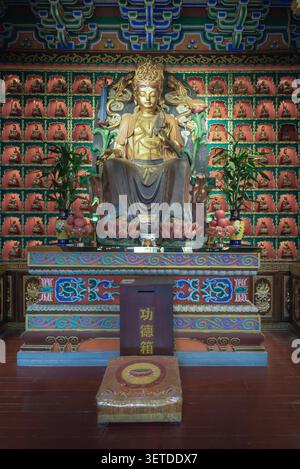 Chongqing, Chine - 11 juin 2026 - à l'intérieur de l'ancien temple Luohan de Chongqing, une statue dorée rayonnante de Guanyin Bodhisattva domine la salle. le backg Banque D'Images