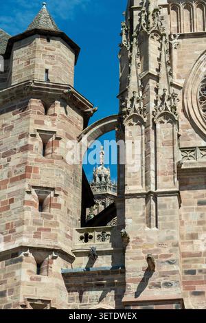 Rodez. La façade ouest de la cathédrale gothique notre-Dame. Aveyron. Occitanie. France Banque D'Images