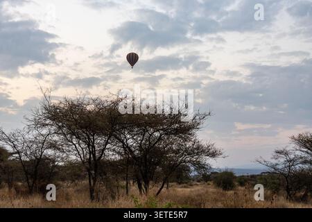 Montgolfière flottant au-dessus des acacia au lever du soleil dans le parc national d'Amboseli Kenya Banque D'Images