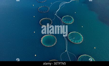 Prise de vue aérienne par drone de cages circulaires de pisciculture dans les eaux bleues profondes des Lofoten, Norvège. Enclos d'aquaculture multiples disposés en organisation Banque D'Images