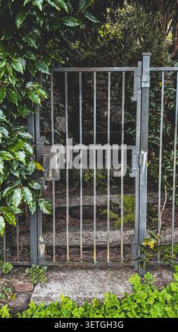 Portail en métal galvanisé altéré barrant un vol de marches en béton envahies par la végétation, fougères et lierre entassant la pierre usée, une vieille boîte fixée à un bar en di Banque D'Images