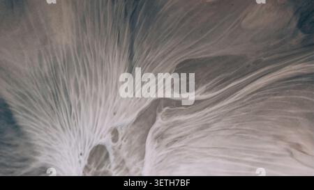 Encre humide abstraite goutte d'eau texture liquide mélange art Banque D'Images