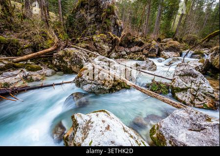 Ruisseau alpin clair avec de l'eau turquoise coulant sur des rochers, des rondins et de petites cascades dans une forêt dense à Berchtesgaden, Bavière, Allemagne. Couverture de mousse Banque D'Images