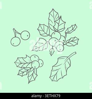 Branches de houx de Noël avec des baies rouges hiver ligne de plantes illustration vectorielle d'art de ligne de vacances. Élément de conception botanique festif traditionnel pour saluer Illustration de Vecteur