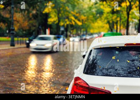 Moody Scenic feu arrière vue sur le pare-brise de voiture blanc moderne couvert de feuilles jaunes dorées tombées garées rue humide de ville automne jour pluvieux. Couvert Banque D'Images
