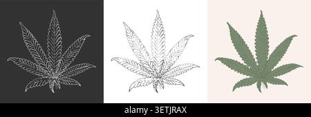Icône vintage cannabis. Croquis de style noir, blanc et coloré marijuana de mauvaises herbes de feuilles Illustration de Vecteur