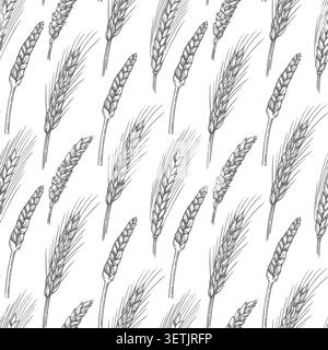 Épis de blé sans couture motif. Esquisse de vecteur de fond avec des plantes céréalières Illustration de Vecteur