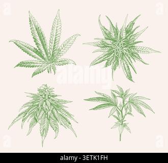 Ensemble d'icônes de cannabis de style croquis vert. Collecte de marijuana isolée Illustration de Vecteur