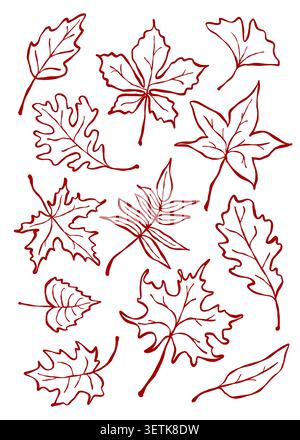Vecteur de contour des feuilles d'automne défini pour la coloration. Illustration de Vecteur