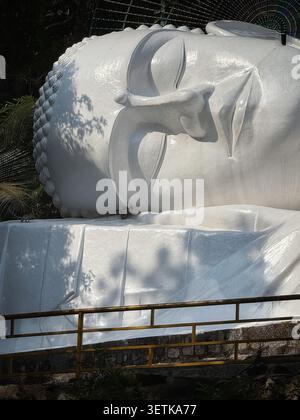 Visage de statue de Bouddha couché blanc avec un petit singe près de l'épaule. Un gros plan capture le visage blanc serein d'un Bouddha géant incliné M. Banque D'Images
