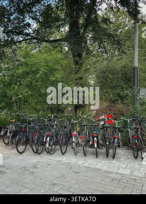 Un groupe de vélos de banlieue classiques garés étroitement ensemble sur un trottoir en pierre. Les arbres feuillus verts forment un fond naturel dense derrière l'urbain b Banque D'Images