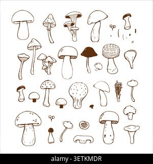 Ensemble de champignons simples fantaisistes. Divers champignons dessinés à la main Illustration de Vecteur