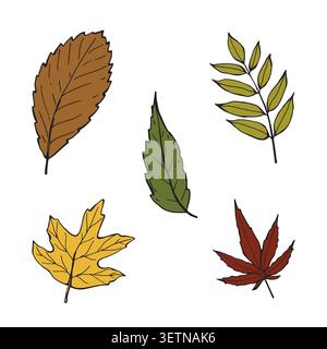 Ensemble fantaisiste de différentes feuilles d'automne Illustration de Vecteur