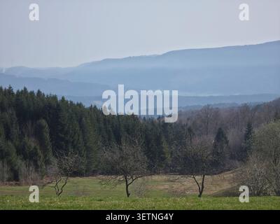 allemagne, superbe panorama printanier de la forêt noire au-dessus de la vallée présentant des forêts luxuriantes qui balayent des horizons et le charme paisible de la campagne Banque D'Images