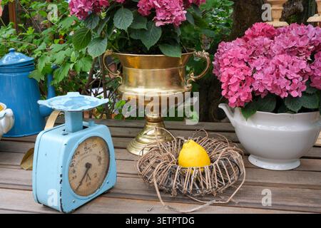 Une charmante scène de jardin avec une échelle vintage, des fleurs et un citron. Kiev, Ukraine, 23 juin 2026 Banque D'Images