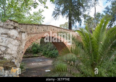 Un ancien pont en arc de briques altéré couvert de pierre et de mousse, partiellement obscurci par des feuilles de palmier vertes luxuriantes, se dresse dans un parc à Badajoz, SP Banque D'Images
