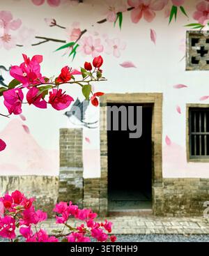 Fleurs de bougainvilliers magenta vives devant le vieux mur de bâtiment du village chinois peint avec une fresque de fleurs de cerisier rose, Pengdong Ancient Village, Gu Banque D'Images