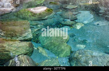 Rivière Sanzhanxi dans la gorge de Taroko, comté de Hualien, Taïwan. L'eau turquoise limpide coule sur de grandes roches vertes couvertes de mousse dans un lit de ruisseau pittoresque. Banque D'Images