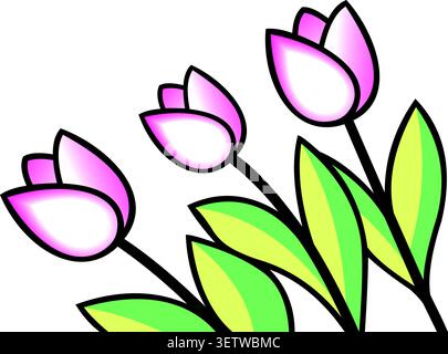 Trois fleurs de tulipe roses et blanches avec illustration de feuilles vertes Illustration de Vecteur