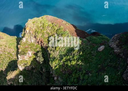 Un drone aérien spectaculaire de haut en bas d'énormes falaises vertes rencontrant de puissantes vagues blanches de l'océan à Calheta, Madère. Banque D'Images