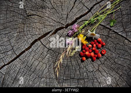 Fraises des bois et fleurs d'été colorées disposées sur une souche d'arbre craquée Banque D'Images