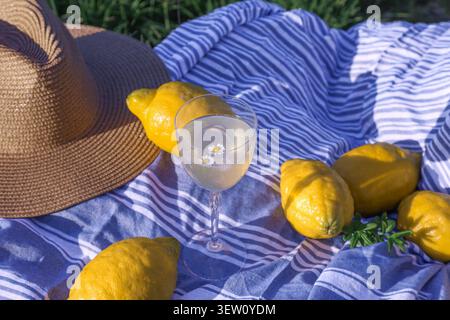 Un verre de limonade avec de petites fleurs blanches est assis sur une serviette rayée bleue et blanche à côté de grands citrons et un chapeau de paille en plein soleil. Banque D'Images