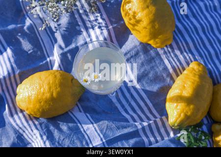Un verre de limonade avec de petites fleurs blanches se trouve sur une serviette rayée bleue et blanche à côté de citrons entiers en plein soleil. Banque D'Images