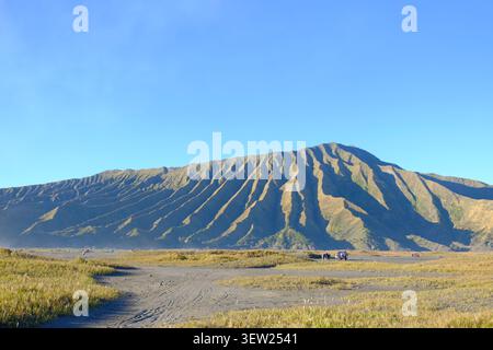 Paysage du mont Batok dans le parc national bromo Tengger Semeru, Java oriental, Indonésie, avec des plaines de sable volcanique et un ciel bleu clair. Banque D'Images