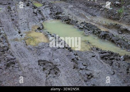 Deep Muddy Tire pistes sur une route non pavée après de fortes précipitations Banque D'Images