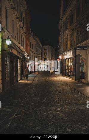 Vue verticale nocturne d'une rue pavée étroite bordée de vitrines de boutiques éclairées à Ljubljana, en Slovénie. Banque D'Images