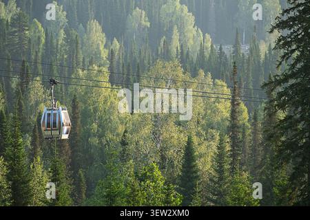 Téléphérique se déplaçant au-dessus de la forêt de conifères. Télécabine traversant un paysage de montagne couvert d'arbres verts. Transports estivaux en campagne pour le tourisme, Banque D'Images