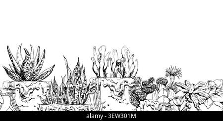 Sansevieria, fleurs lithops pierres vivantes, crassula mélangées echeveria succulentes dans des pots en argile glacée. Esquisse de bannière sans couture dessinée à la main dans le vecteur d'encre Illustration de Vecteur