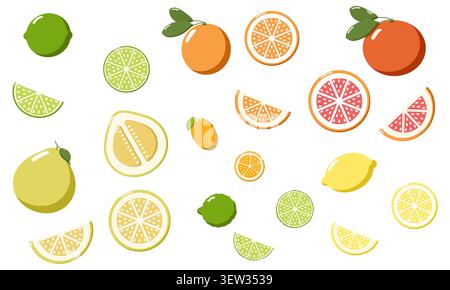 Assortiment coloré d'agrumes, y compris citrons verts, citrons, oranges, pamplemousses, pomélos, et des kumquats, montrés entiers et tranchés, dynamique desig frais Banque D'Images