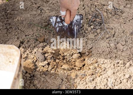 Une personne utilise un outil à main vintage pour creuser la terre dure pour la plantation, reflétant l'effort physique de la préparation agricole, l'agriculture saisonnière, A. Banque D'Images