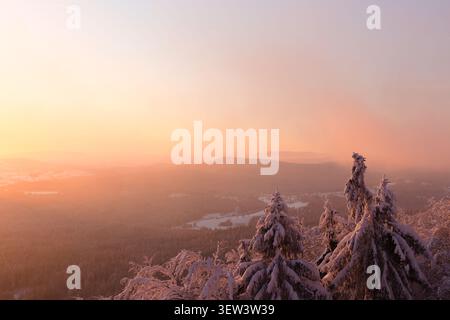 Paysage à couper le souffle dans la forêt bavaroise près de Mitterdorf - paysage hivernal serein à l'aube, avec des pins enneigés sur une montagne Banque D'Images
