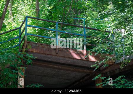 Un pont altéré se dresse entouré d'arbres vibrants et de plantes épaisses pendant la mi-journée. Banque D'Images