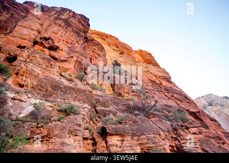 De hautes falaises de grès le long du West Rim Trail jusqu'à Angels Landing dans le parc national de Zion, Utah Banque D'Images