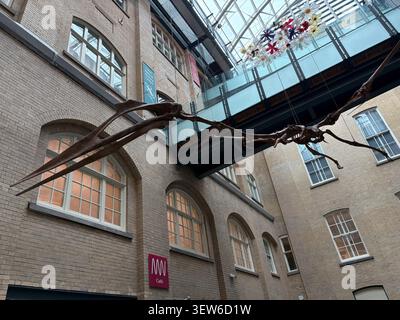 Squelette de ptérosaure suspendu dans l'atrium du World Museum, William Brown Street, Liverpool, Royaume-Uni. Banque D'Images